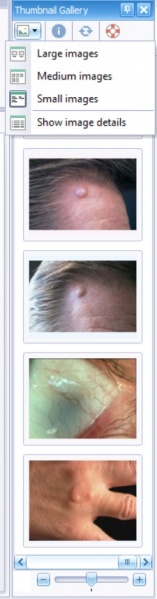 File:ThumbnailImageSize.jpg