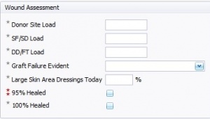 WoundAssessementFields.jpg