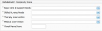 Rehabilitation Complexity Score